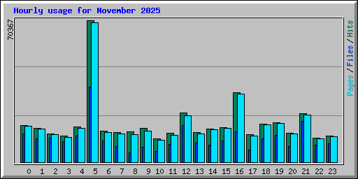 Hourly usage for November 2025
